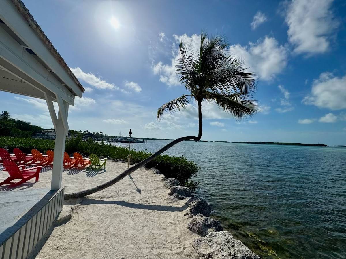 Morada Bay restaurant in Islamorada - photo 9