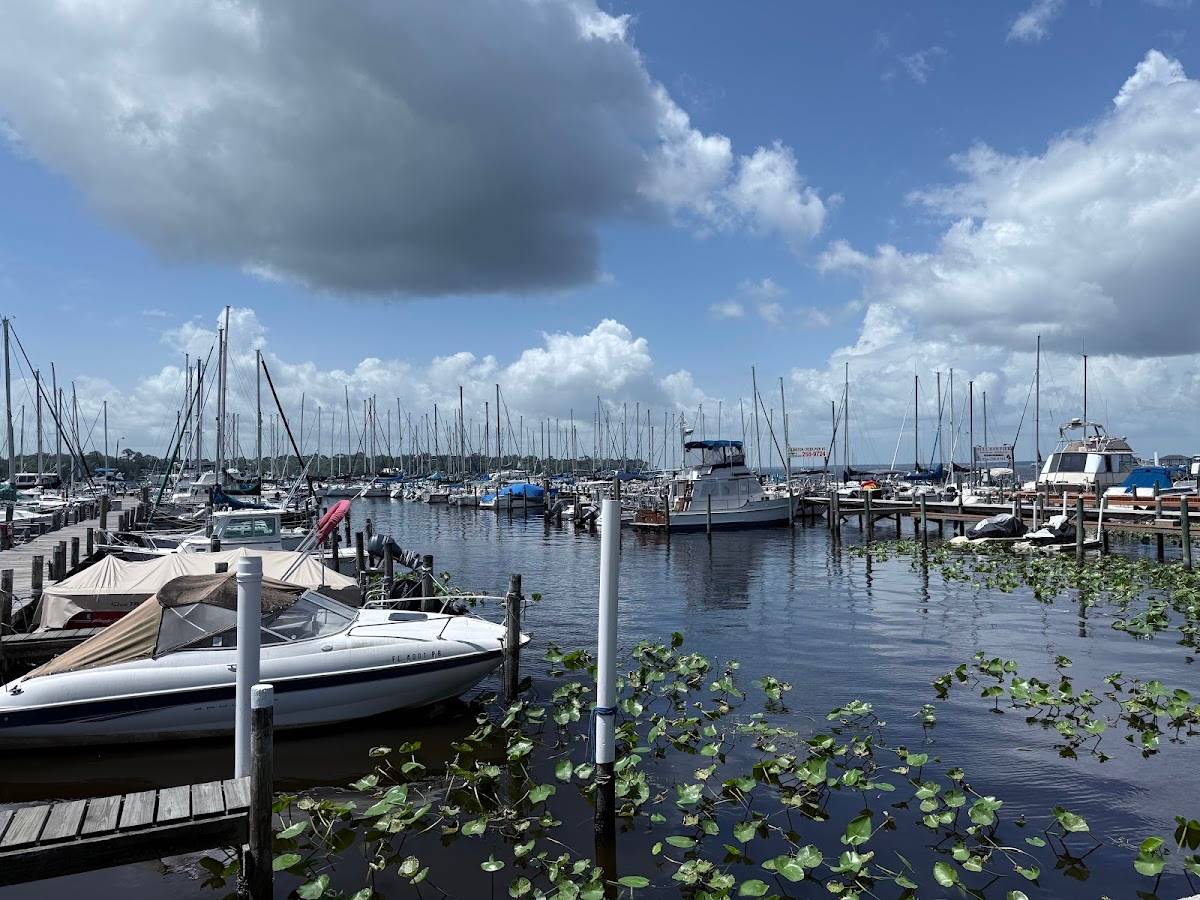 Julington Creek Fish Camp restaurant in Jacksonville - photo 4