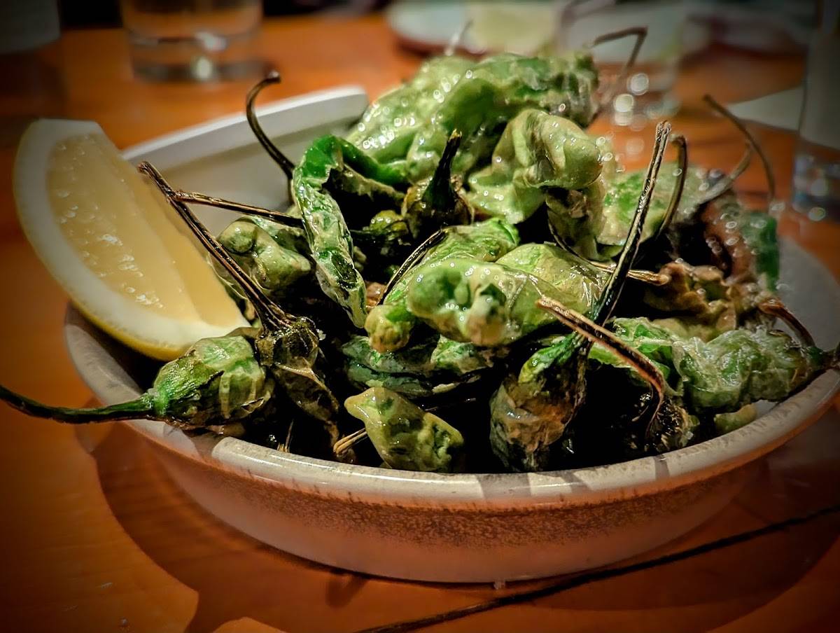 Terra Plata restaurant in Seattle - photo 2