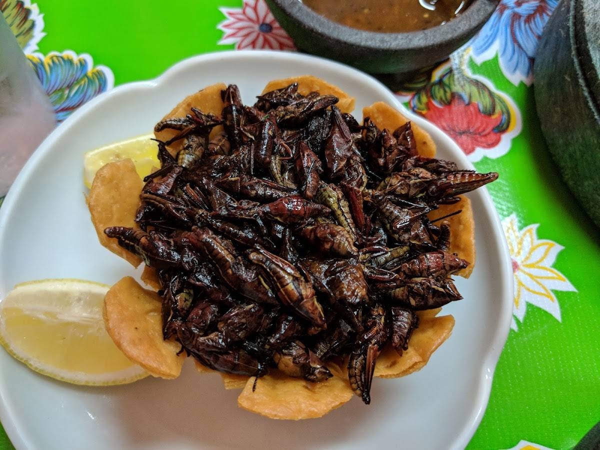 Sabores Oaxaqueños Restaurant restaurant in Los Angeles - photo 2