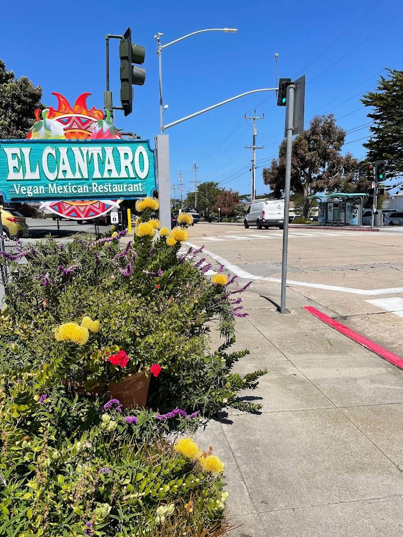 El Cantaro Vegan restaurant in Monterey - photo 5