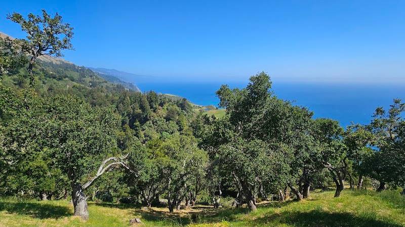 Nepenthe restaurant in Big Sur - photo 4