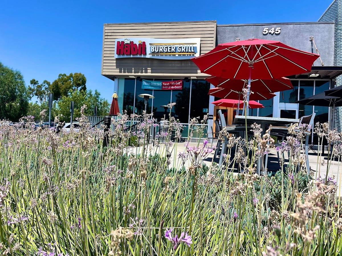 Habit Burger & Grill