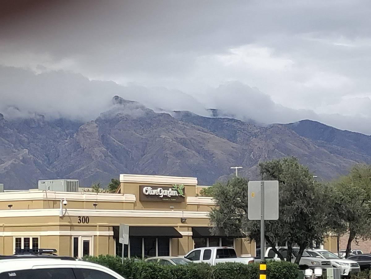 Olive Garden Italian Restaurant restaurant in Tucson - photo 4