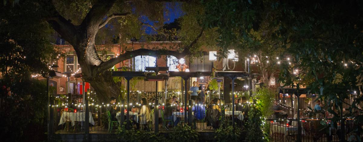 Novo restaurant in San Luis Obispo - photo 3
