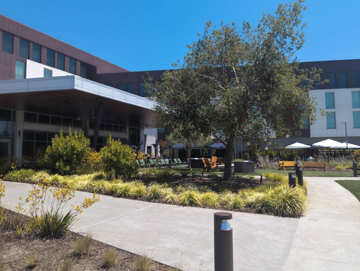 The Flyby restaurant in Mountain View - photo 4