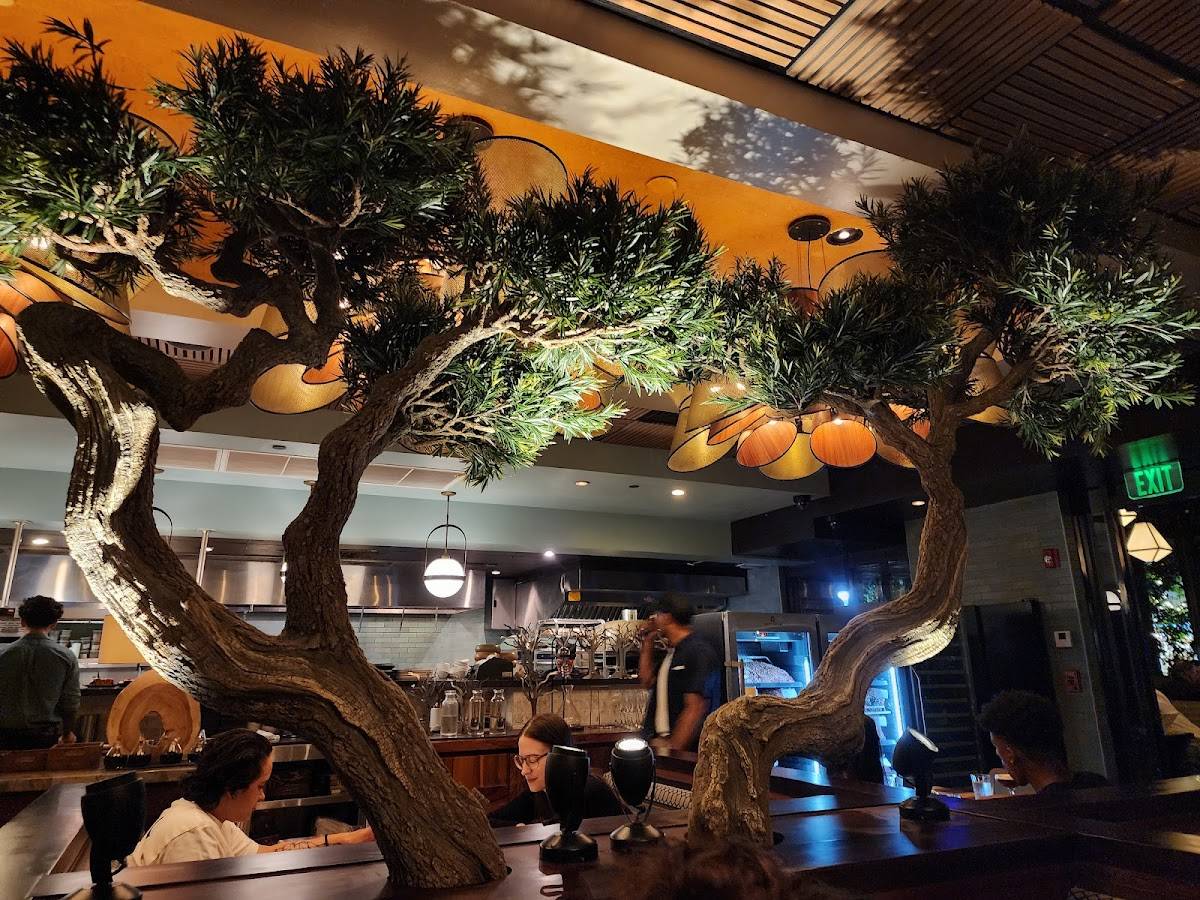 YOLO Restaurant restaurant in Fort Lauderdale - photo 2