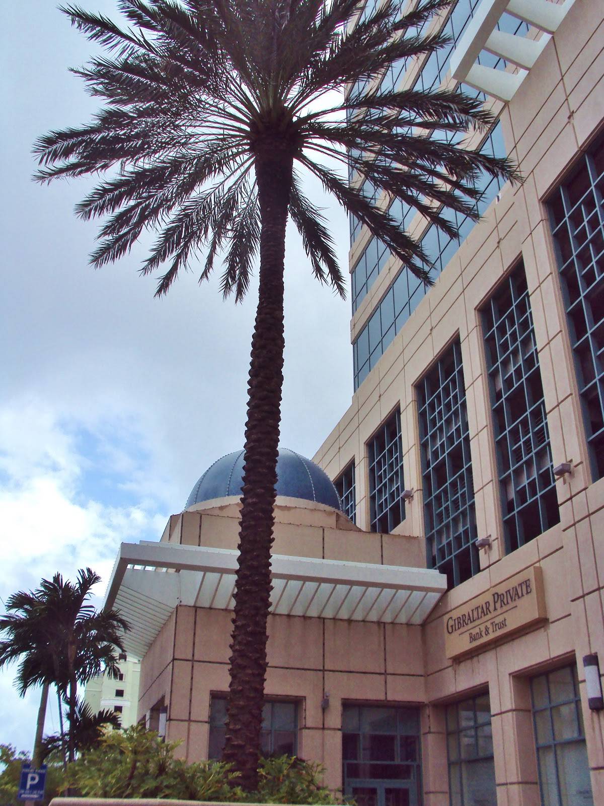 Las Olas Centre I restaurant in Fort Lauderdale - photo 5