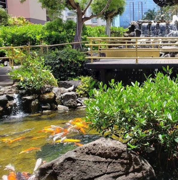 Pagoda Restaurant & Catering restaurant in Honolulu - photo 4