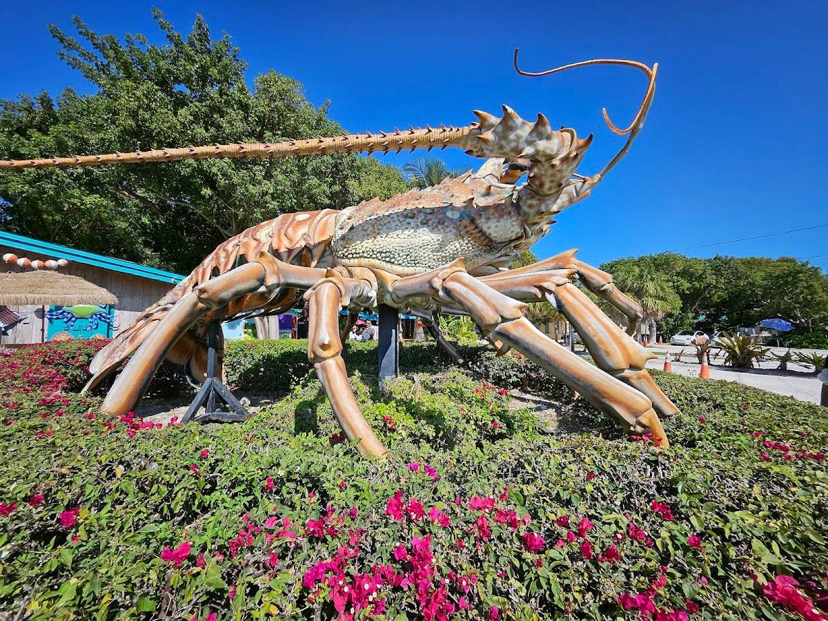 Lobster Shack restaurant in Islamorada - photo 3