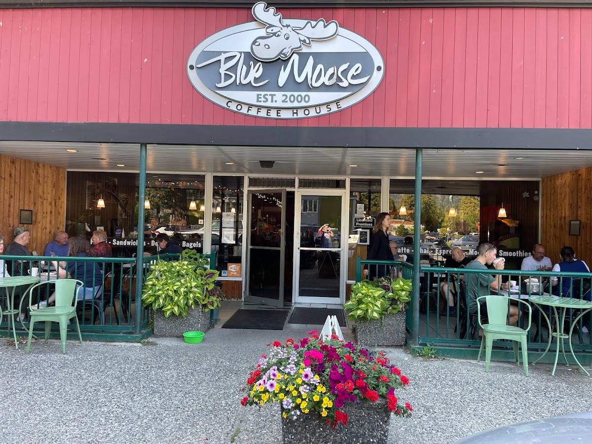 Blue Moose Coffee House restaurant in Hope - photo 3