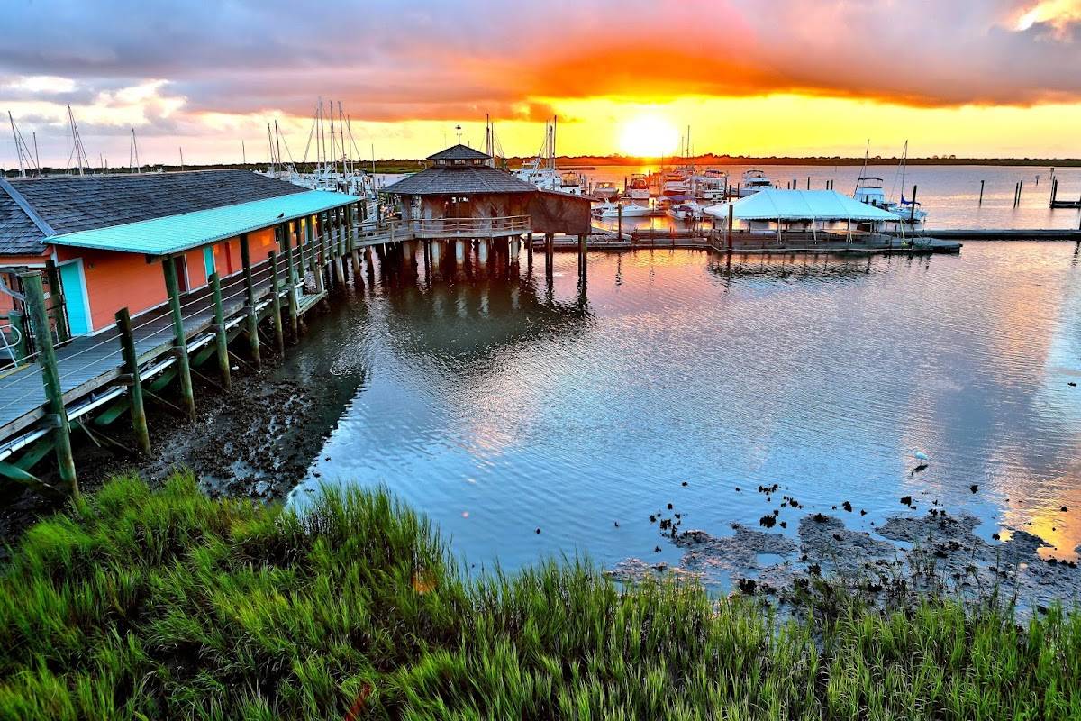 The Conch House Restaurant restaurant in Saint Augustine - photo 4