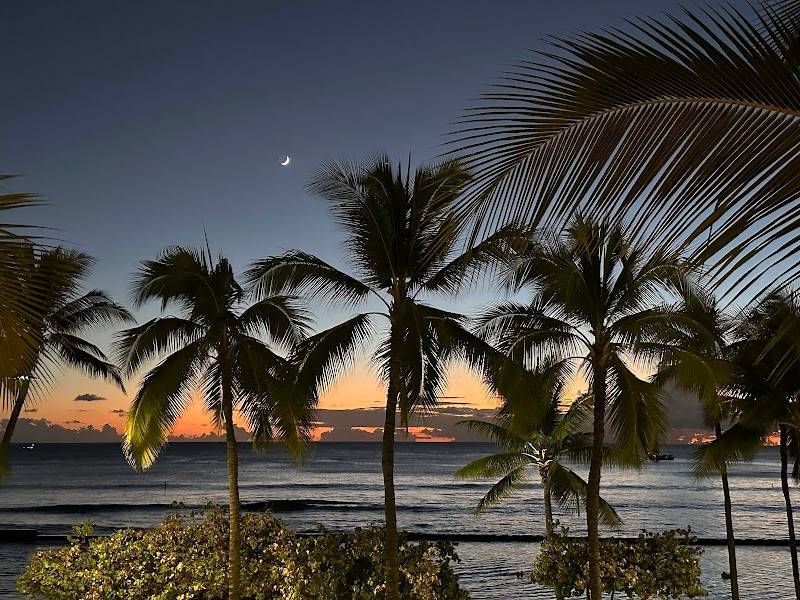 Tikis Grill & Bar restaurant in Honolulu - photo 4