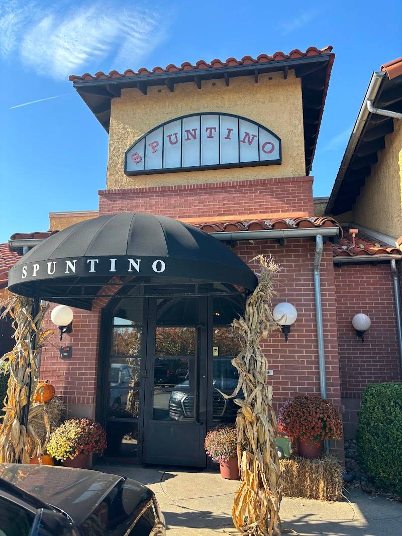 Spuntino Wine Bar & Italian Tapas restaurant in Clifton - photo 4