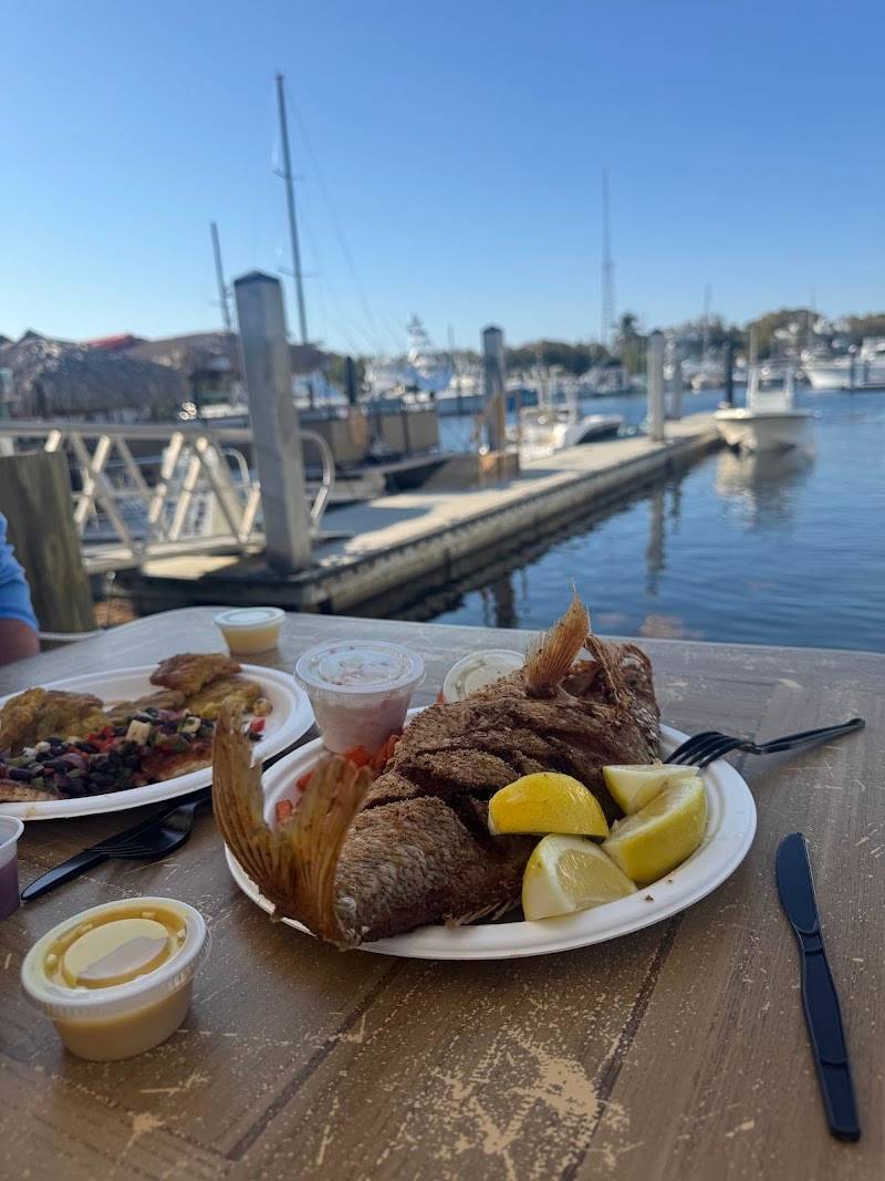 Key Largo Fisheries Backyard Cafe restaurant in Key Largo - photo 5