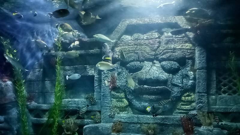Downtown Aquarium