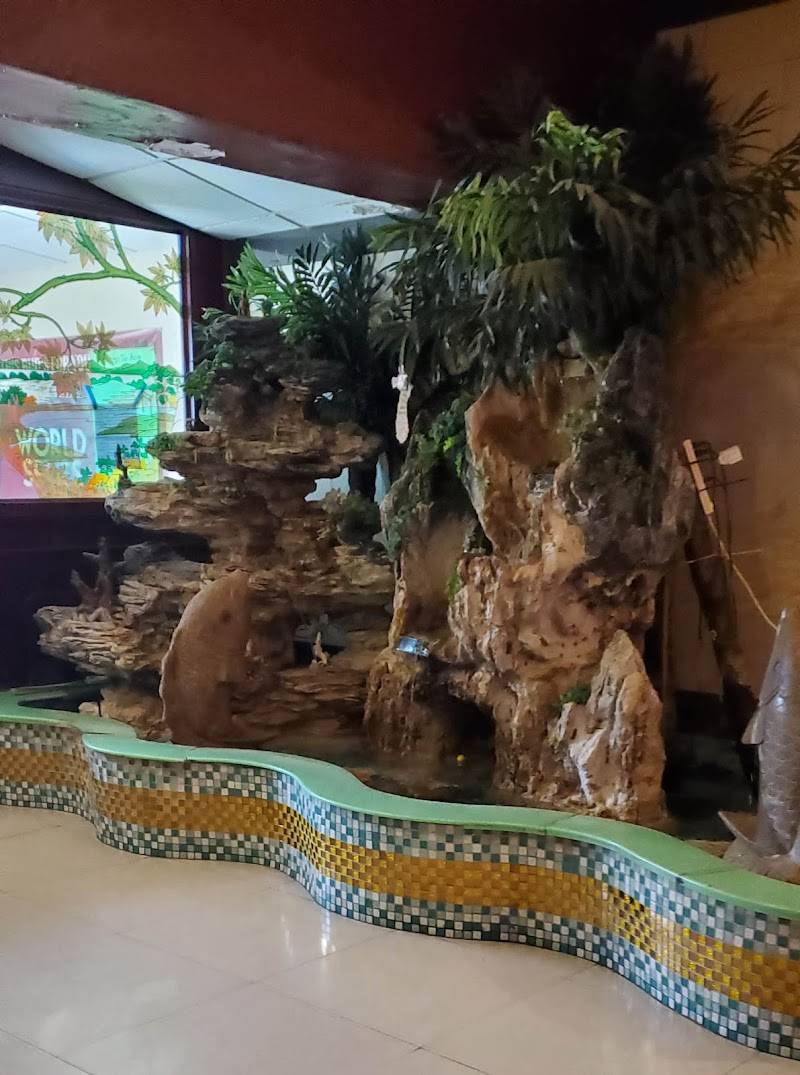Hibachi Grill restaurant in Houston - photo 3