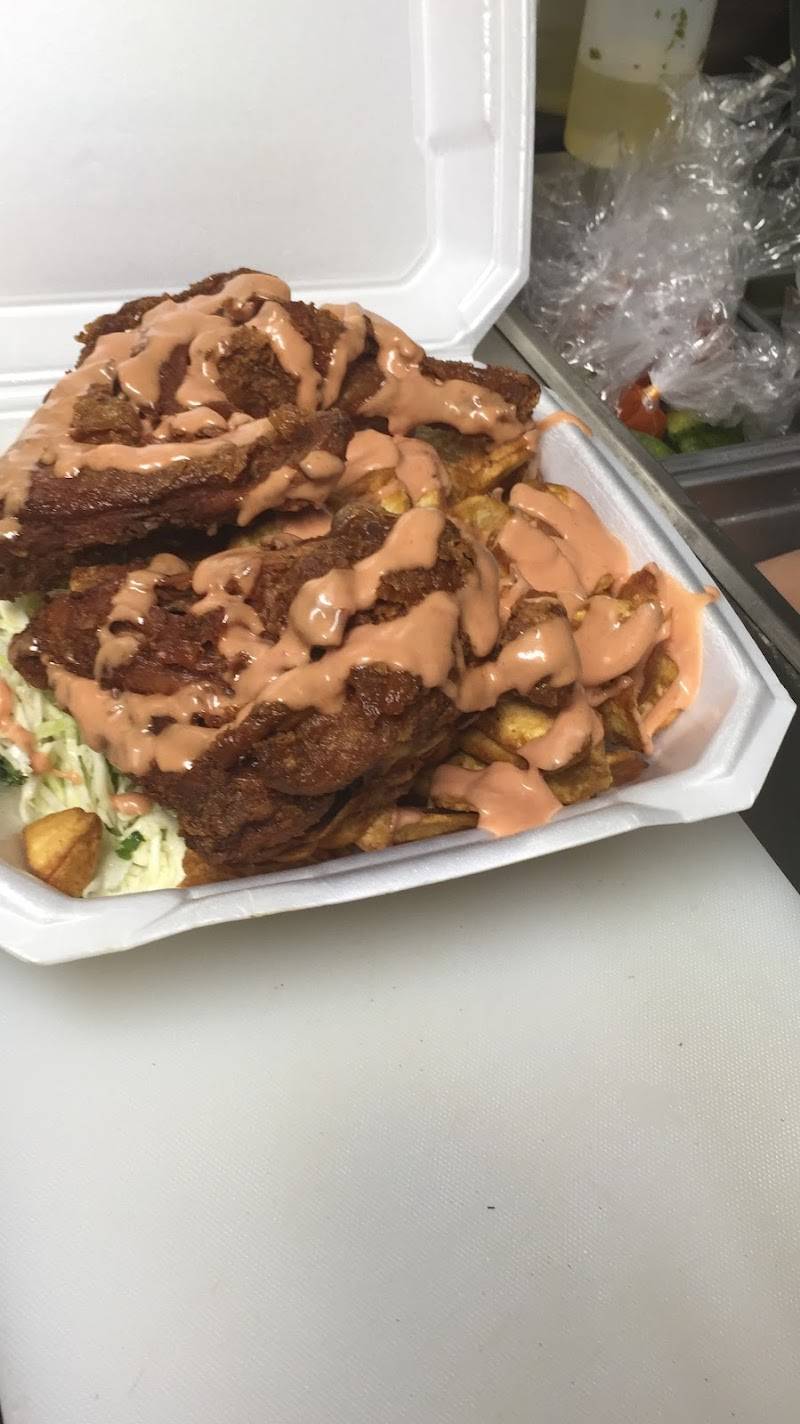Mi Princesita (Food Truck) restaurant in Houston - photo 5